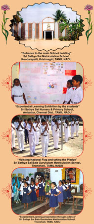 Sai Schools India Final18