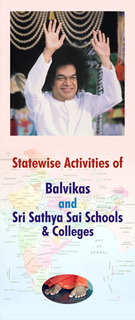 Sai Schools India Final22