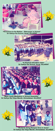 Sai Schools India Final5